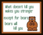 Bears will Kill You (image for) Bears will Kill You